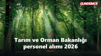 Tarım ve Orman Bakanlığı personel alımı 2026: Kadrolar ve şartlar