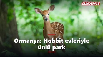 Ormanya nerede, giriş ücretli mi? Hobbit evleriyle ünlü park