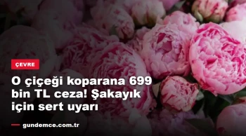 O çiçeği koparana 699 bin TL ceza! Şakayık için sıkı uyarı