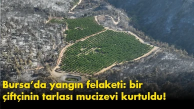 Bursa’da yangın felaketi: bir çiftçinin tarlası mucizevi kurtuldu!