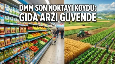 Gıda arzı detayı ortaya çıktı: DMM o iddialara noktayı koydu