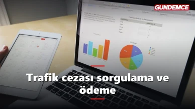 Trafik cezası sorgulama ve ödeme e-Devlet'ten nasıl yapılır?