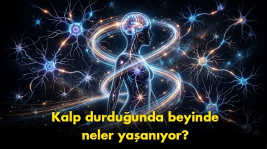 "Ölümden sonra yaşam mı?": Neden beynimiz son saniyelerde bir 'film şeridi' izletiyor?