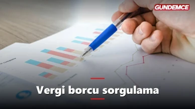 Vergi borcu sorgulama: e-Devlet ve GİB'den nasıl yapılır?