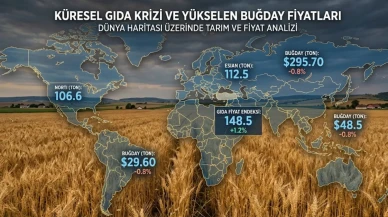 Gıda fiyatları bir anda değişti: İşte yeni rakamlar