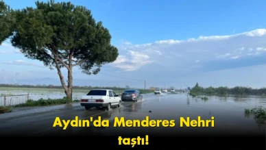 Menderes Nehri taştı: Ulaşım yolu tamamen su altında