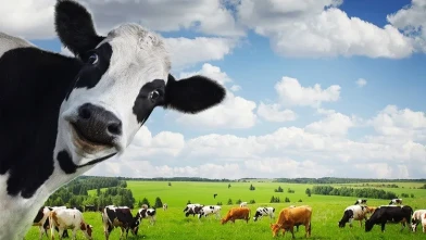 Türkiye, Avrupa'nın Çoğu Ülkesini Geride Bıraktı! İspanya, Fransa ve Yunanistan Şaşkınlık İçinde!