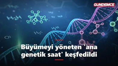 Büyümeyi yöneten 'ana saat' keşfedildi: Gelişimin sırrı çözülüyor