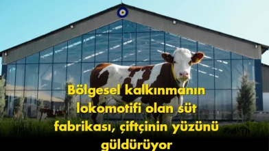Süt fabrikası gündem oldu: Herkes aynı soruyu soruyor