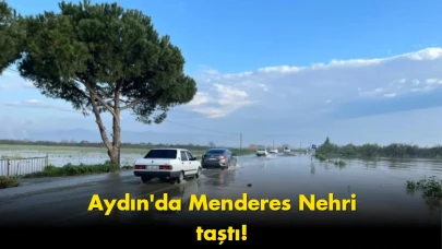 Menderes Nehri taştı: Ulaşım yolu tamamen su altında