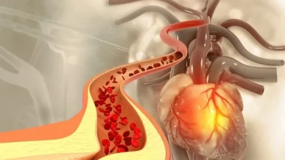 Damarları Cam Gibi Temizliyor: Kolesterolü Düşüren Doğal Savaşçılar