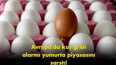 Türk yumurtasına talep patladı: Avrupa’dan gelen şok haber