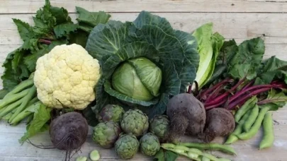 Doğal Antibiyotik Deposu: Bağışıklığı Çelik Gibi Güçlendiren Kış Sebzeleri