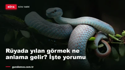 Rüyada yılan görmek ne anlama gelir? İşte detaylı yorumu