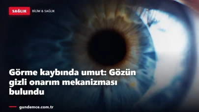 Görme kaybında umut: Gözün gizli onarım mekanizması bulundu