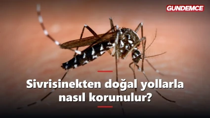 Sivrisinekten doğal yollarla nasıl korunulur?