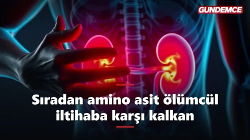 Sıradan bir amino asit ölümcül iltihaba karşı hayat kurtardı
