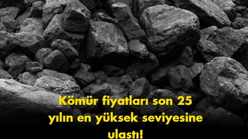 Kömür fiyatları gündem oldu: Herkes aynı soruyu soruyor
