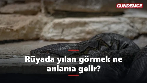 Rüyada yılan görmek ne anlama gelir? İşte tabiri