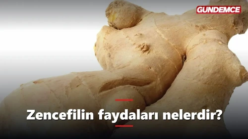 Zencefilin faydaları nelerdir? Neye iyi gelir?
