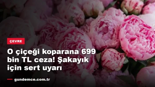 O çiçeği koparana 699 bin TL ceza! Şakayık için sıkı uyarı