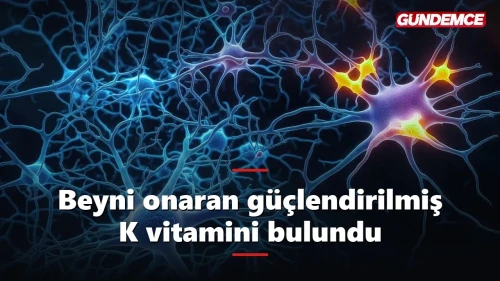 Japon bilim insanları beyni kendini onaran K vitamini geliştirdi