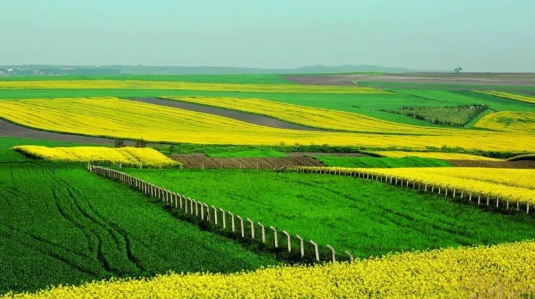 🚀 Arsa Sahipleri Dikkat: İmar Değişikliğinde Yeni Dönem Başladı! Değer Artış Payının %90'ı Kamuya Aktarılacak