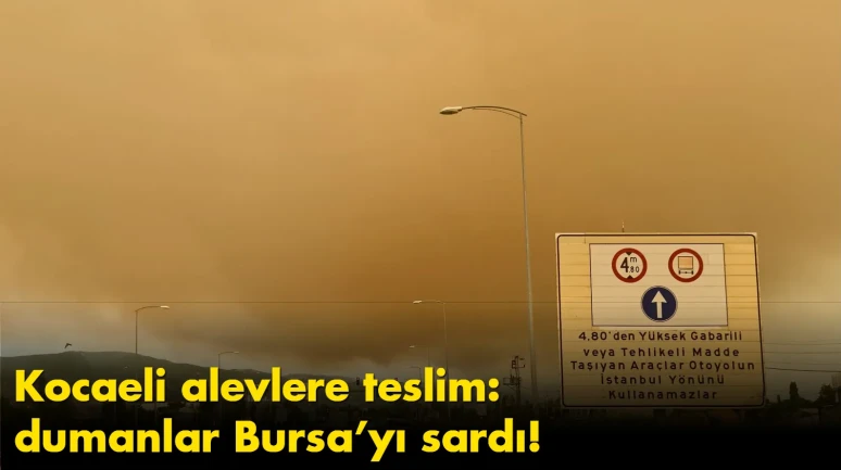 Kocaeli alevlere teslim: dumanlar Bursa’yı sardı!