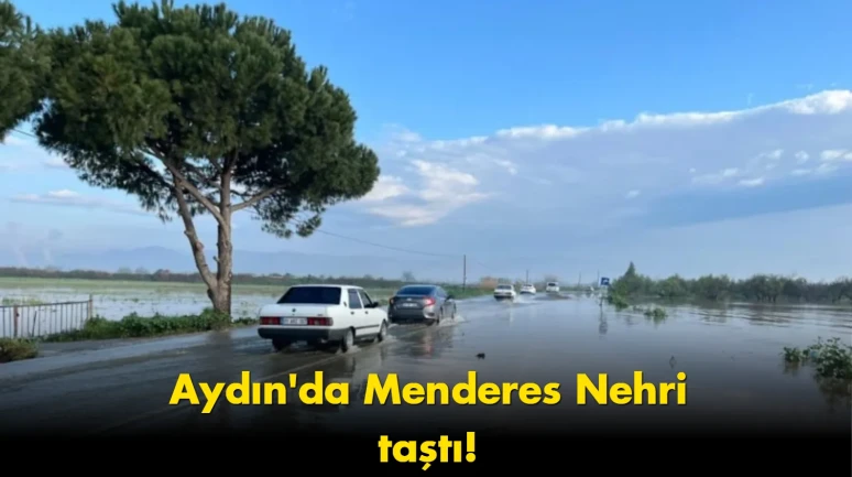 Menderes Nehri taştı: Ulaşım yolu tamamen su altında