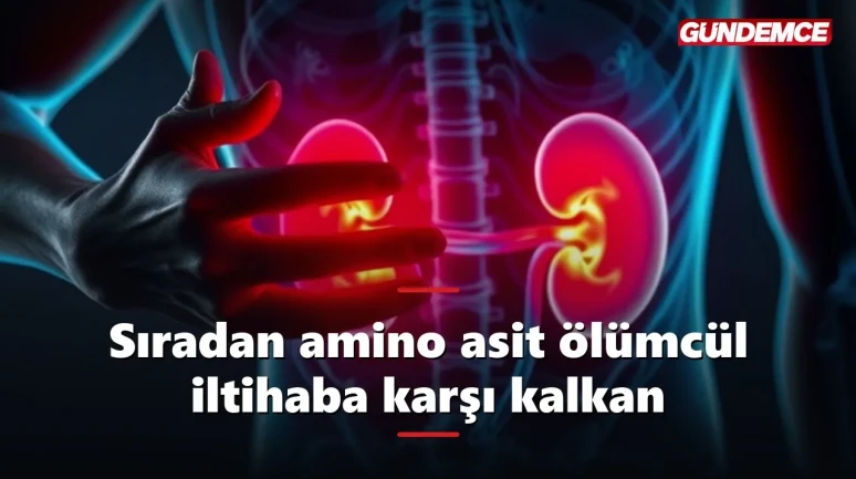 Sıradan bir amino asit ölümcül iltihaba karşı hayat kurtardı