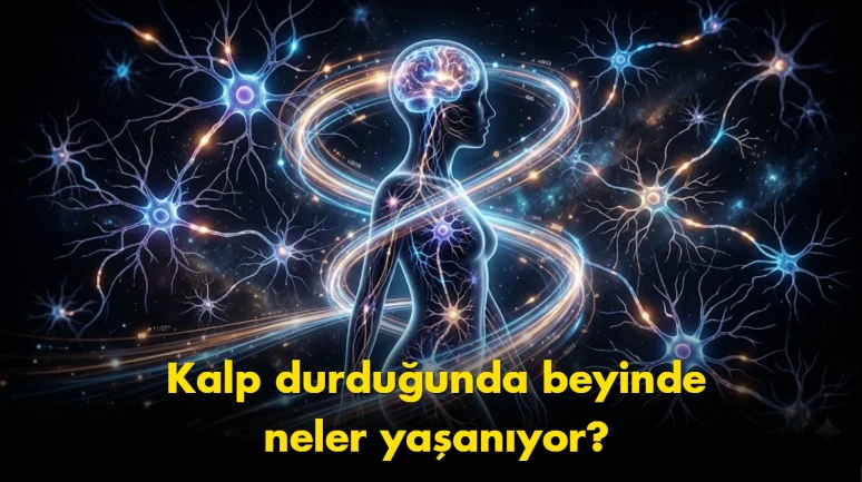 "Ölümden sonra yaşam mı?": Neden beynimiz son saniyelerde bir 'film şeridi' izletiyor?