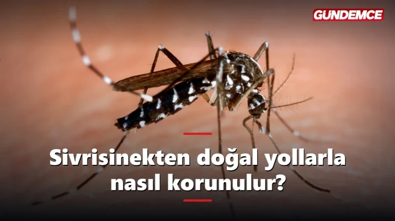 Sivrisinekten doğal yollarla nasıl korunulur?