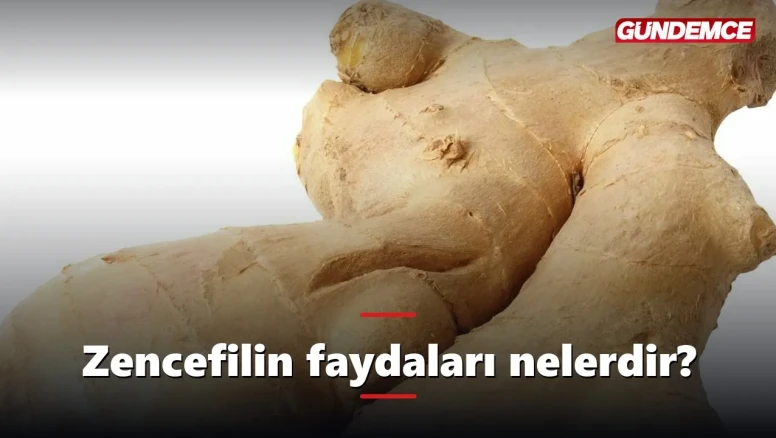 Zencefilin faydaları nelerdir? Neye iyi gelir?